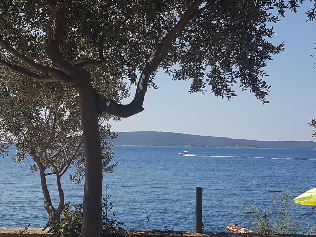 טרוגיר Apartments Lovric - 30 Meters To The Beach מראה חיצוני תמונה